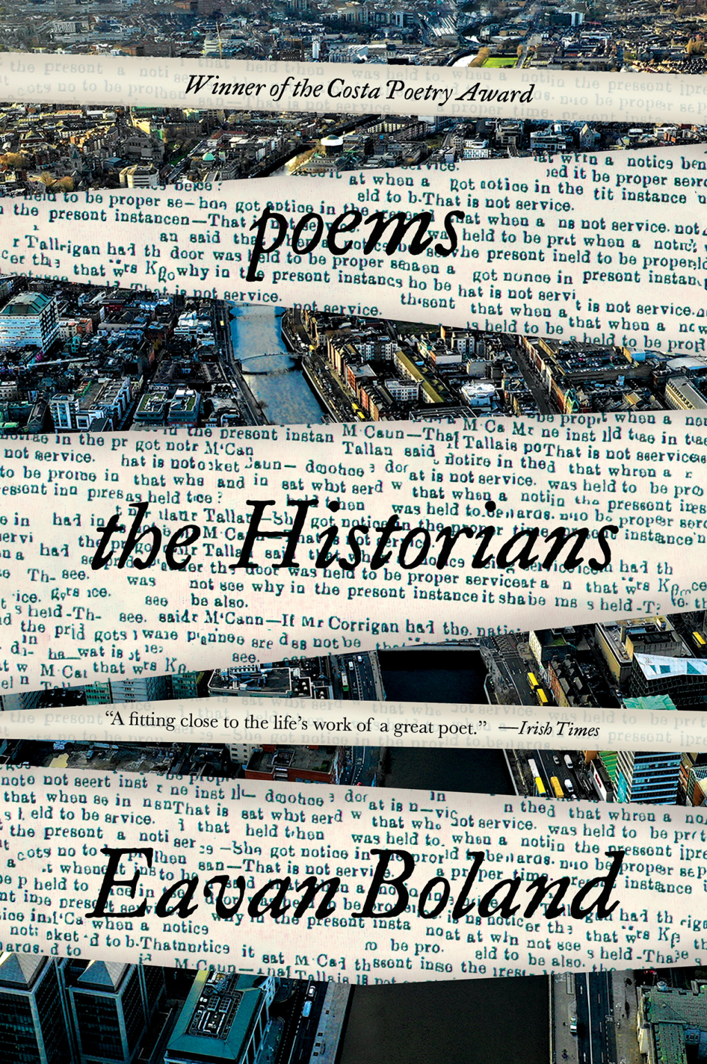 ISBN 9781324020226 product image for The Historians: Poems (eBook) | upcitemdb.com