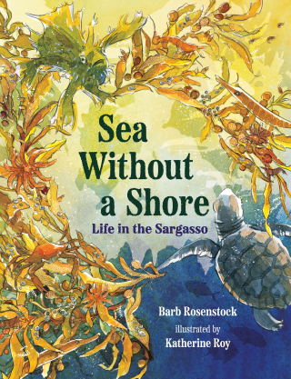 Cover image: Sea Without a Shore: Life in the Sargasso 1st edition 9781324016076