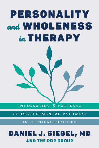 Cover image: Personality and Wholeness in Therapy: Integrating 9 Patterns of Developmental Pathways in Clinical Practice (Norton Series on Interpersonal Neurobiology) 1st edition 9781324016298