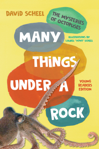 Cover image: Many Things Under a Rock Young Readers Edition: The Mysteries of Octopuses 1st edition 9781324019992