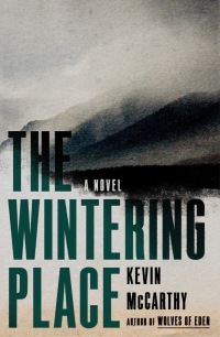 Cover image: The Wintering Place: A Novel 9781324020486