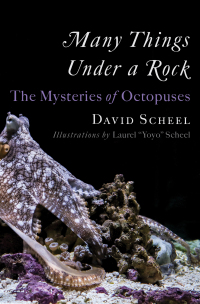 Imagen de portada: Many Things Under a Rock: The Mysteries of Octopuses 9781324020691