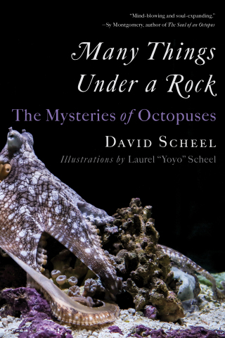 Cover image: Many Things Under a Rock: The Mysteries of Octopuses 9781324076292
