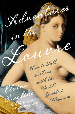 Imagen de portada: Adventures in the Louvre: How to Fall in Love with the World's Greatest Museum 1st edition 9781324021407