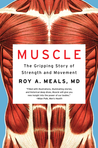 Imagen de portada: Muscle: The Gripping Story of Strength and Movement 9781324021445