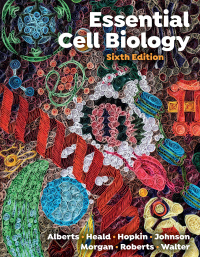 表紙画像: Essential Cell Biology 6th edition 9781324033356