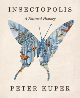 Cover image: Insectopolis: A Natural History 1st edition 9781324035718