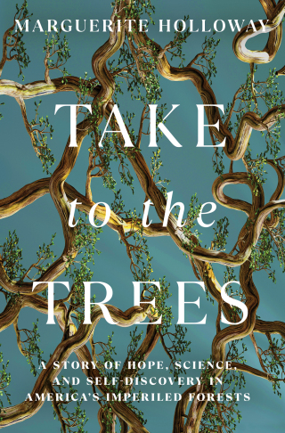Cover image: Take to the Trees: A Story of Hope, Science, and Self-Discovery in America's Imperiled Forests 1st edition 9781324036449