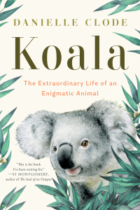 Omslagafbeelding: Koala: The Extraordinary Life of an Enigmatic Animal 9781324074496
