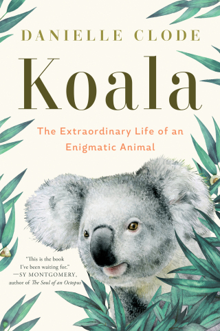 Cover image: Koala 9781324074496