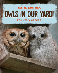 Imagen de portada: Owls in Our Yard!: The Story of Alfie 1st edition 9781324053194