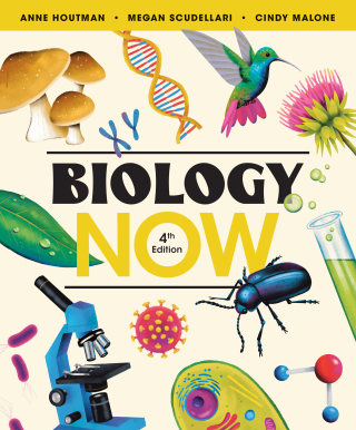 Cover image: Biology Now 4th edition 9781324060789