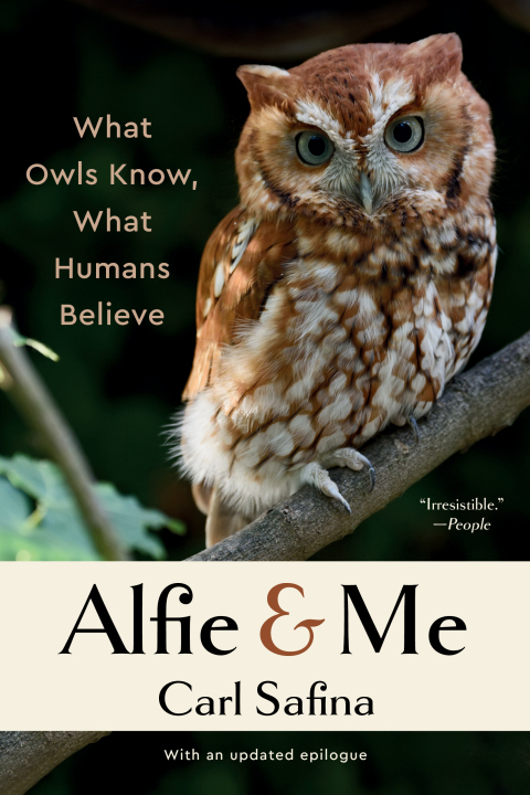 Alfie and Me: What Owls Know, What Humans Believe, 1st Edition - FULL INSTANT DOWNLOAD | PDF DOCX EPUB