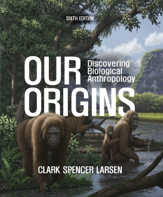 Our Origins Courseware (Norton Illumine Ebook, InQuizitive ...
