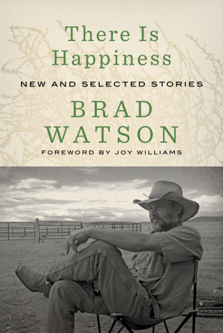 Cover image: There Is Happiness: New and Selected Stories 1st edition 9781324076421