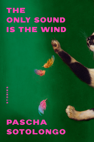 Cover image: The Only Sound Is the Wind: Stories 1st edition 9781324076445