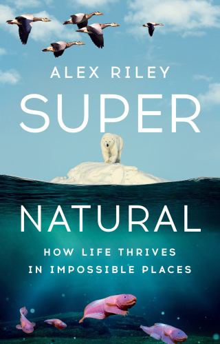 Cover image: Super Natural 1st edition 9781324079187