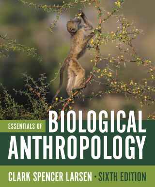 Cover image: Essentials of Biological Anthropology 6th edition 9781324084013
