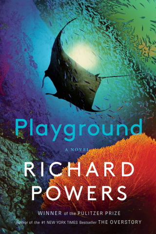 Cover image: Playground: A Novel 1st edition 9781324086031