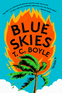 Titelbild: Blue Skies: A Novel 9781324093022