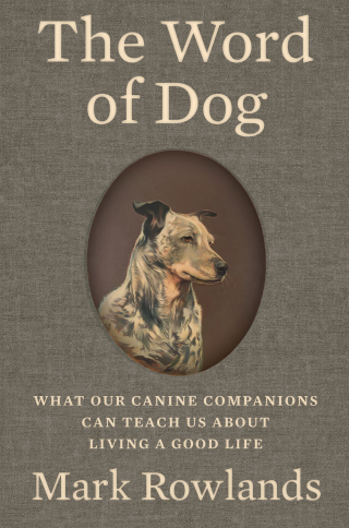 Cover image: The Word of Dog: What Our Canine Companions Can Teach Us About Living a Good Life 1st edition 9781324095682