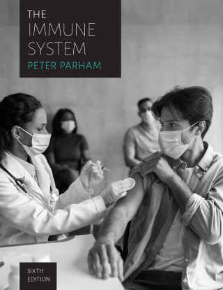 Imagen de portada: The Immune System 6th edition 9781324104766