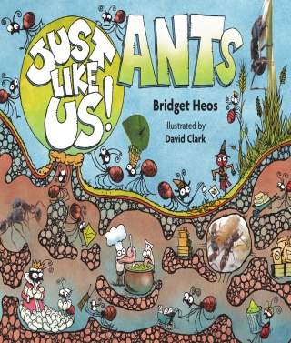 Cover image: Just Like Us! Ants 9780544570436
