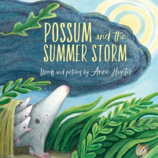 Cover image: Possum and the Summer Storm 9780544898912