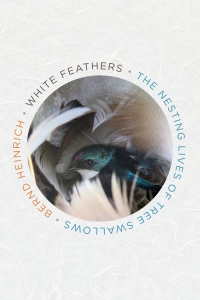 Cover image: White Feathers 9781328604415