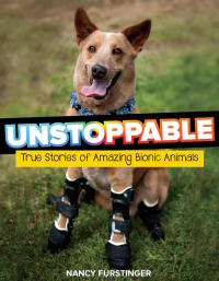 Cover image: Unstoppable 9780358242635