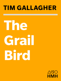 Omslagafbeelding: The Grail Bird 9780618709410