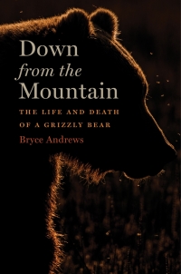 Cover image: Down From The Mountain 9780358299271