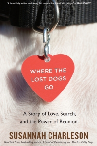 Cover image: Where The Lost Dogs Go 9780358298663