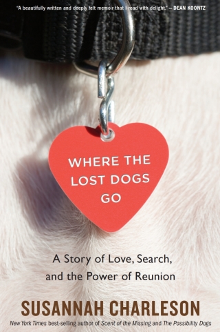 Omslagafbeelding: Where The Lost Dogs Go 9780358298663