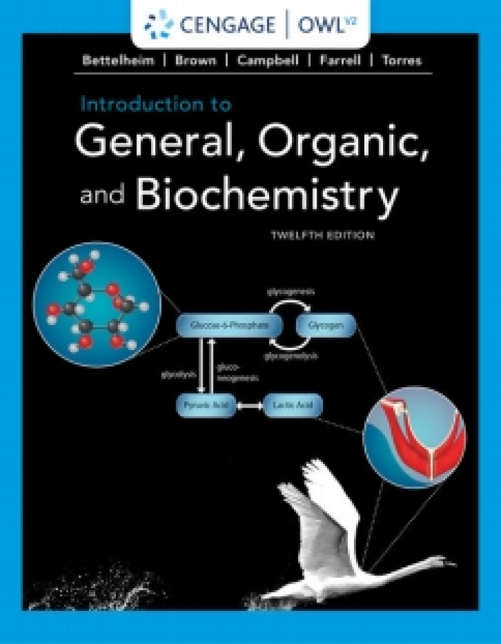 OWLv2 for Bettelheim/Brown/Campbell/Farrell/Torres' Introduction to General, Organic and Biochemistry, 12th Edition [Instant Access], 4 terms 12th Edition