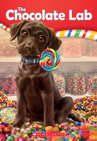 Cover image: The Chocolate Lab 9780545601665