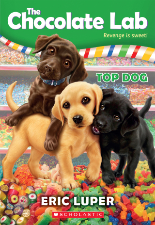 Imagen de portada: Top Dog 9780545902434