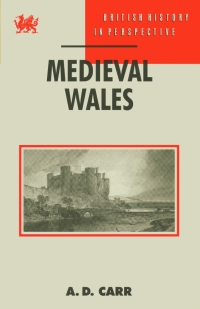 Cover image: Medieval Wales 1st edition 9780333547731