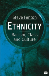 Titelbild: Ethnicity 1st edition 9780333662250