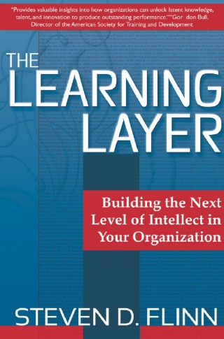 Immagine di copertina: The Learning Layer 9781349584079