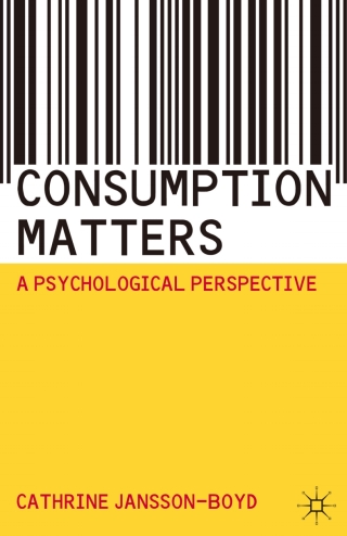 表紙画像: Consumption Matters 1st edition 9780230201170