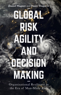 Cover image: Global Risk Agility and Decision Making 9781349948598