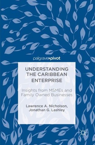 表紙画像: Understanding the Caribbean Enterprise 9781349948789