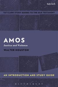 Cover image: Amos: An Introduction and Study Guide 1st edition 9781350008991
