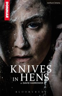 Cover image: Knives in Hens 1st edition 9781350059634
