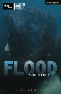 Imagen de portada: Flood 1st edition 9781350060128