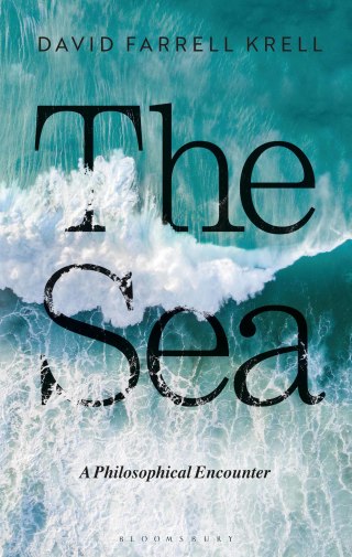 Titelbild: The Sea 1st edition 9781350076716