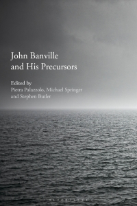 Cover image: John Banville and His Precursors 1st edition 9781350084520