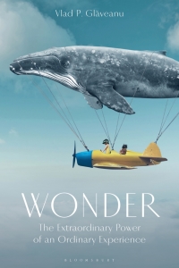 صورة الغلاف: Wonder 1st edition 9781350193178