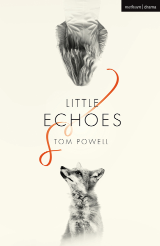 Cover image: Little Echoes 1st edition 9781350124820
